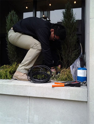 one of our Parkland WA sprinkler repair experts is installing a drip system