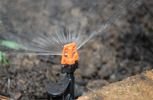 our Parkland sprinkler repair contractors can install micro spray heads