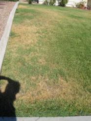 our Irrigation team does water audits to make sure your lawn is watered evenly