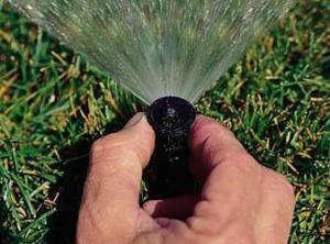 Lakewood sprinkler repair specialist adjusts a pop up rain bird head